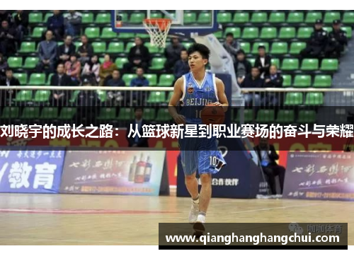 刘晓宇的成长之路：从篮球新星到职业赛场的奋斗与荣耀