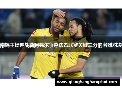 南锡主场迎战勒阿弗尔争夺法乙联赛关键三分的激烈对决